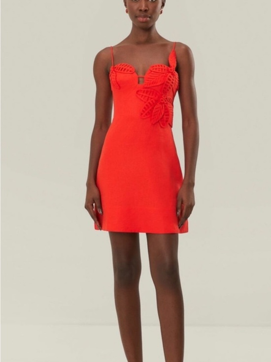 FARM Rio Dresses & Skirts - FARM Rio Red Leaf-Applique Spaghetti Strap Mini Dress